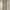 Legendary Gold Khakis Chino Size 39 photo 3