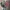 Striped star long sleeve top 96 photo 5