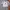 Tracktop Adidas Climalite White-Stone photo 1