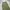 Coen japan cargo pants photo 4