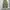 Coen japan cargo pants photo 1