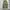Coen Japan Cargo Pants