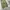 Coen japan cargo pants photo 5