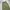 Coen Japan Cargo Pants