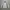 T-Buc Work Jaket photo 4
