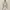 OYSHO WINTER JACKET - Size S photo 5