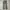 Lucky Brand Chino Size 32 photo 1