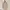 STRADIVARIUS COAT - Size S photo 1
