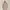 STRADIVARIUS COAT - Size S