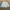 Streetwear Biker Sweatshirt Pria multicolor photo 1