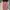 Luxury Minimalist Bodycon dress Wanita brown photo 1