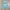 Adidas trefoil Baby Blue photo 2