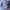 SWEATSHIRTS NEW BALANCE BOSTON SPELLOUT photo 5