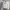 Nike Sportswear Track jacket Pria white photo 3
