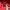 Feltics Towel Red Hoodie photo 6