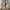 Nike V2KRUN photo 1