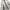 Nike Sportswear Tech Pack Woven Hooded Jacket  photo 5