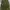 Even River Military Camo Cargo Pants photo 2