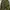 Even River Military Camo Cargo Pants photo 6