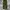 Even River Military Camo Cargo Pants photo 7