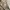 Realtree Jersey Tshirt Ap HD photo 7