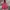 Japanese Brand Avant Garde Vintage Vest Pria Multicolor