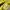 Jersey Borussia Dortmund 2014/2015 Home photo 9