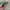 NEW LC LongChamp British Green Handbag M 100% Original Canva photo 8