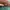 NEW LC LongChamp British Green Handbag M 100% Original Canva photo 7