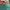 NEW LC LongChamp British Green Handbag M 100% Original Canva photo 9