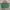 NEW LC LongChamp British Green Handbag M 100% Original Canva photo 5