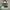 NEW LC LongChamp British Green Handbag M 100% Original Canva photo 1