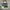 NEW LC LongChamp British Green Handbag M 100% Original Canva