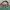 NEW LC LongChamp British Green Handbag M 100% Original Canva photo 6