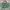 NEW LC LongChamp British Green Handbag M 100% Original Canva photo 4