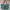 NEW SOVLO Daily Tote Bag Zipper - Tas Wanita Basic - Limited photo 1