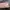 NINTENDO DS LITE