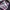 AKAZA PAINTING KIMETSU NO YAIBA  photo 1