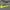HOODIE NIKE BIG SWOOSH BORDIR photo 2