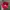 Vintage Hat Pria red photo 3