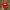 Vintage Hat Pria red photo 1