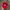 Vintage Hat Pria red photo 2