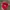 Vintage Hat Pria Red