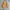 Nominate Corduroy Harrington Jacket photo 2