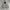 Hibeck Outter Harrington  Jacket