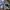 SSIAL BLUE JEANS GACORR🌥️ photo 9
