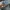 SSIAL BLUE JEANS GACORR🌥️ photo 10