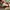 Original Vans Old Skool Sneakers  photo 5