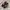 Original Vans Old Skool Sneakers  photo 1