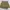 hot pants cream to brown  photo 1